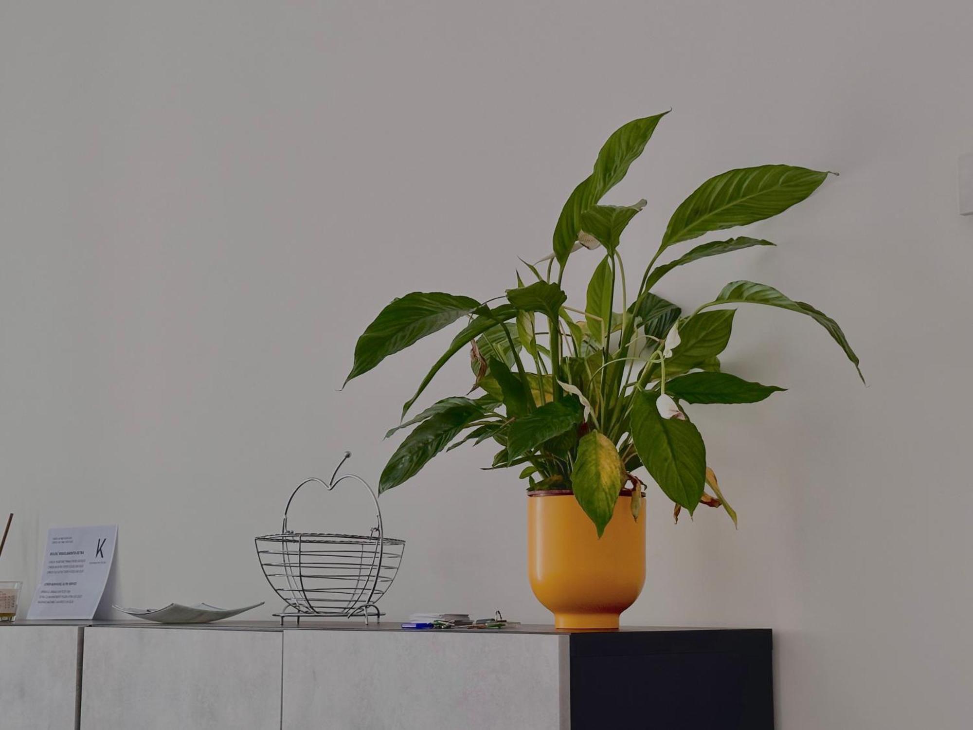 K House Apartment Bari Ngoại thất bức ảnh